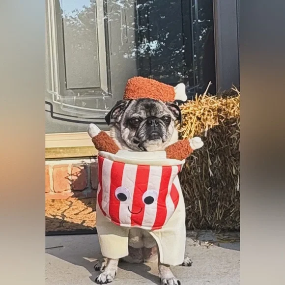 Frisco Front Walking Fried Chicken Bucket. Dog or Cat Costume - Picture 8 of 8